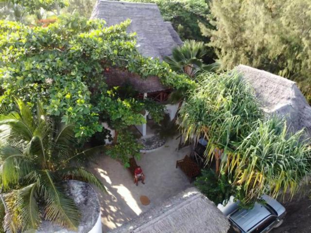 Wonderful Ocean Villa Jambiani  Exterior foto